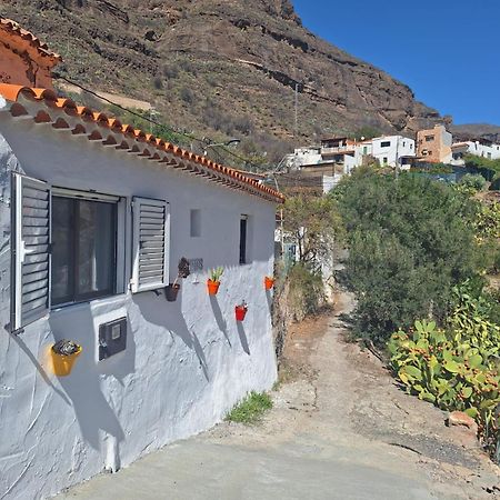 Casa Rural Los Pinares El Juncal De Tejeda Bagian luar foto
