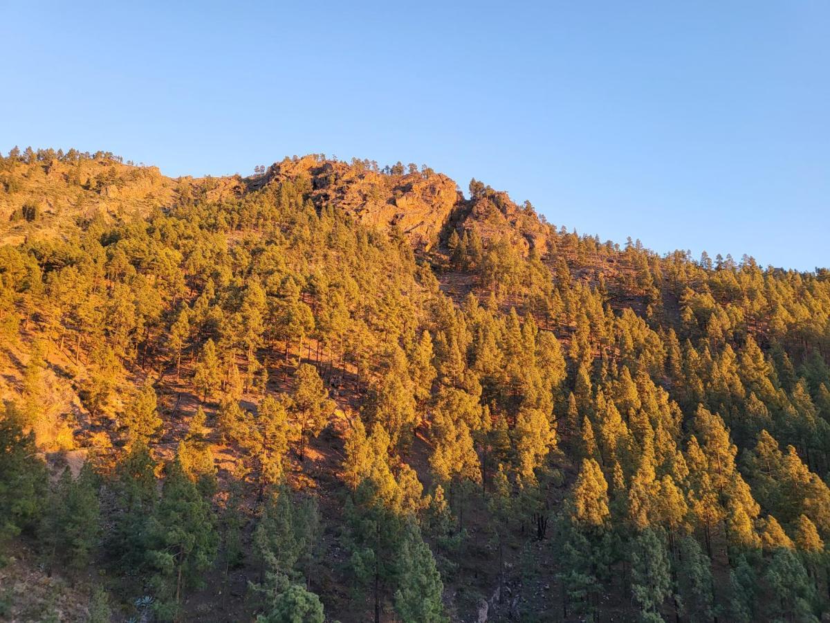 Casa Rural Los Pinares El Juncal De Tejeda Bagian luar foto