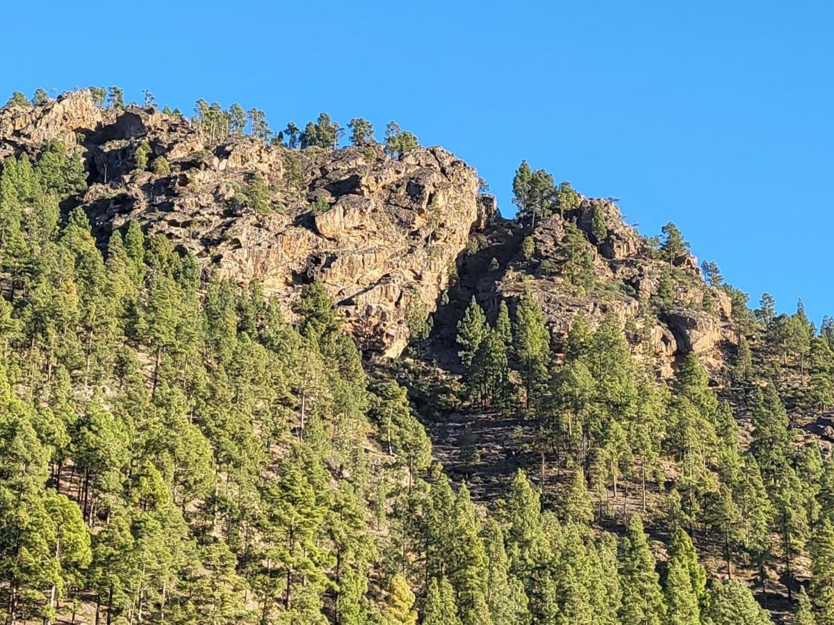 Casa Rural Los Pinares El Juncal De Tejeda Bagian luar foto