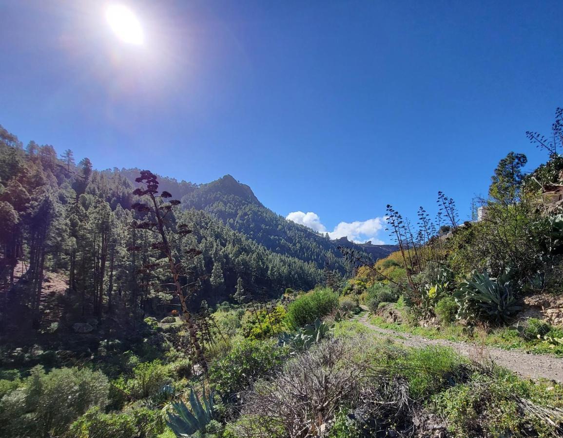 Casa Rural Los Pinares El Juncal De Tejeda Bagian luar foto