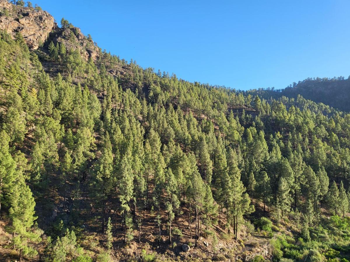 Casa Rural Los Pinares El Juncal De Tejeda Bagian luar foto