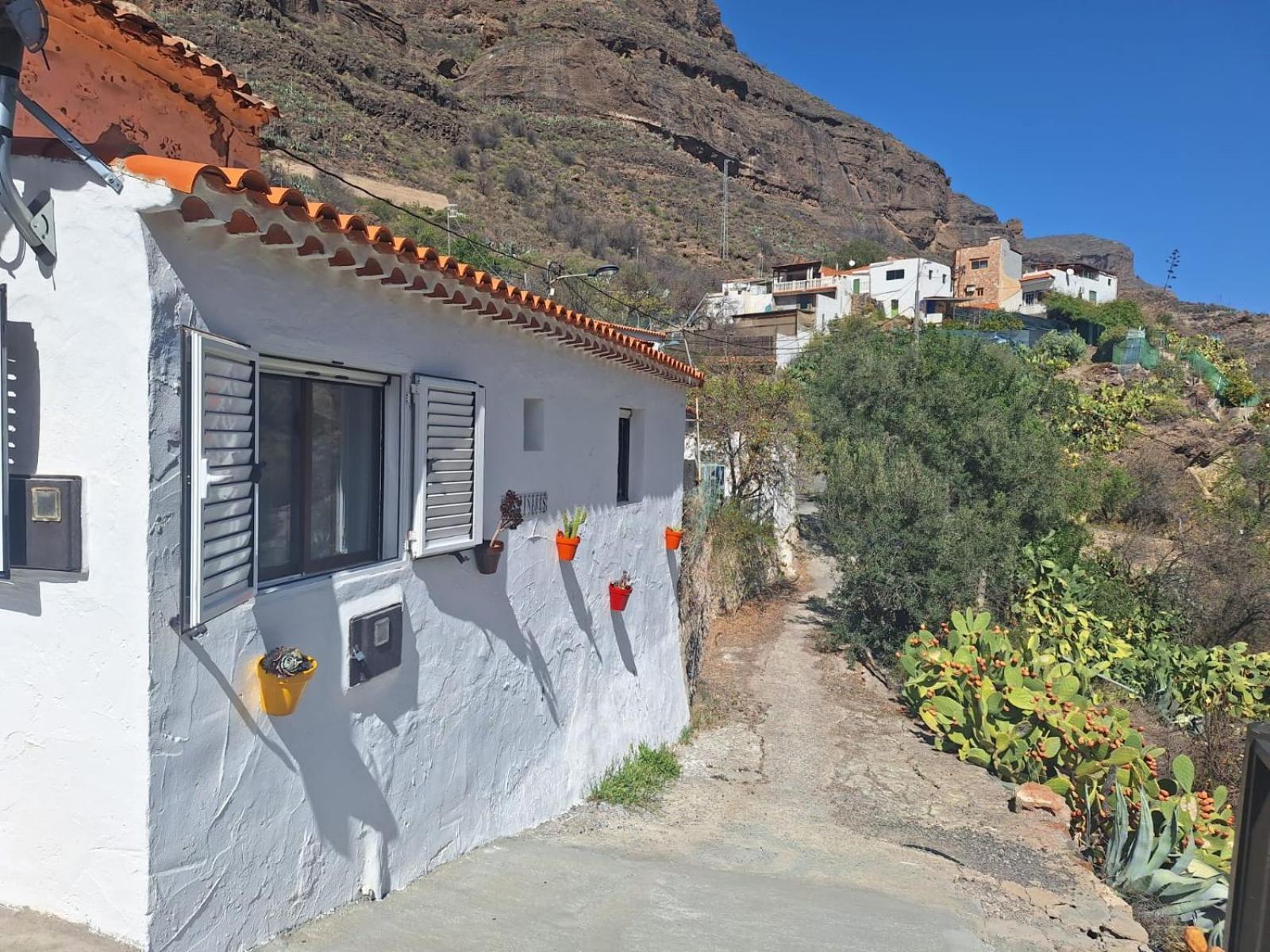 Casa Rural Los Pinares El Juncal De Tejeda Bagian luar foto