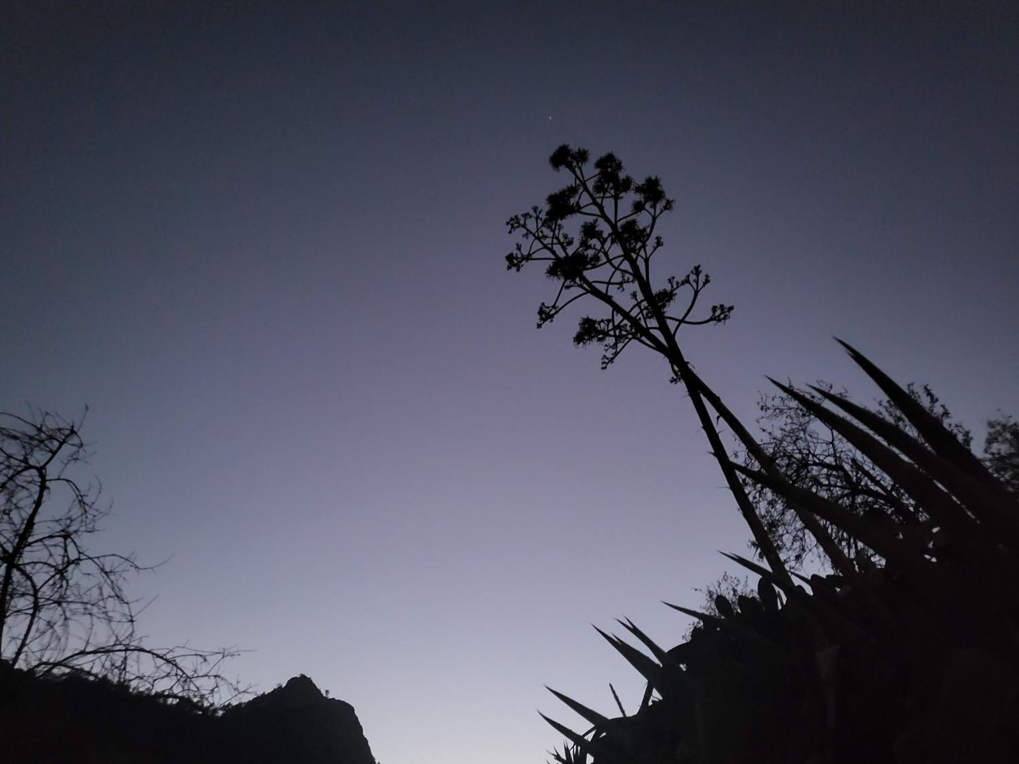 Casa Rural Los Pinares El Juncal De Tejeda Bagian luar foto
