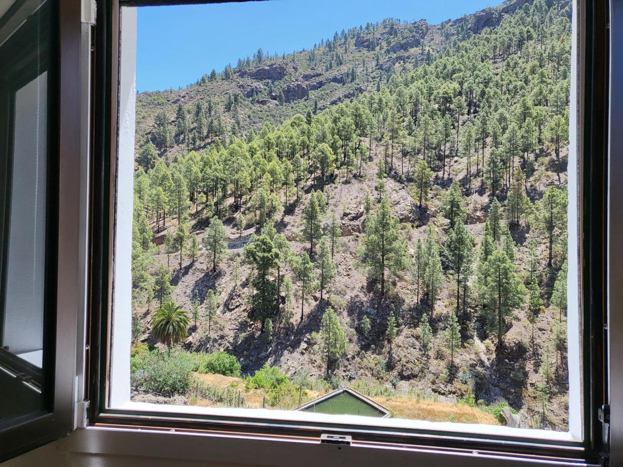 Casa Rural Los Pinares El Juncal De Tejeda Bagian luar foto